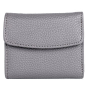 Mini Trifold